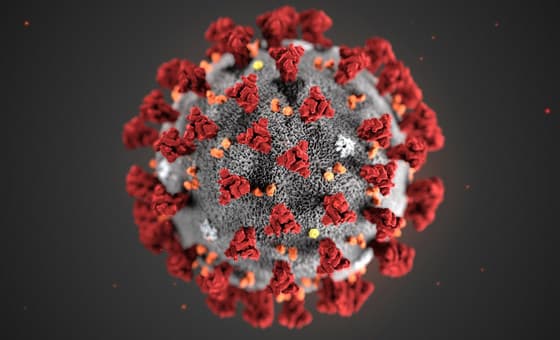 Как некоторые люди защищены от COVID-19 без вакцины